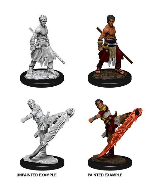 D&D Nolzur's Marvelous Miniatures Onbeschilderde Miniaturen Mannelijke Half-Elf Monnik Case (6)