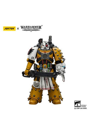 Warhammer 40.000: Imperial Fists Actiefiguur Legion Apotheker 12 cm