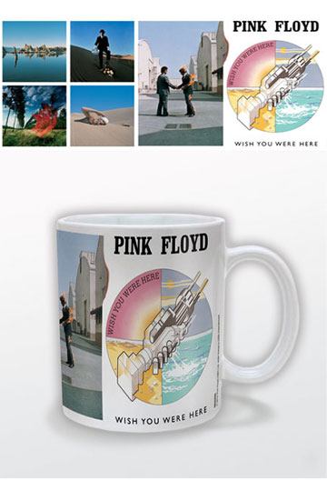 Pink Floyd Mok wou dat je hier was