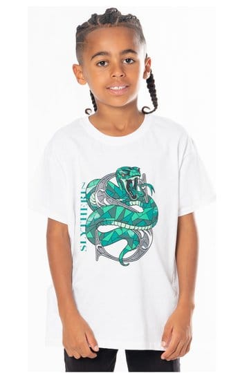 Harry Potter Kinder T-shirt Zwadderich Mozaïek