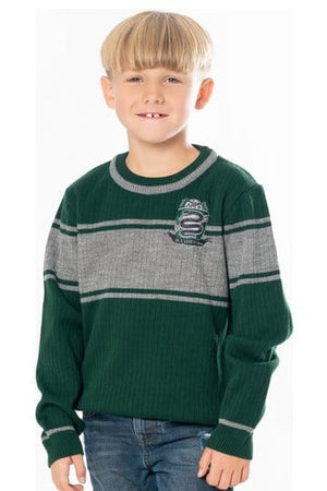 Harry Potter kindertrui Zwadderich