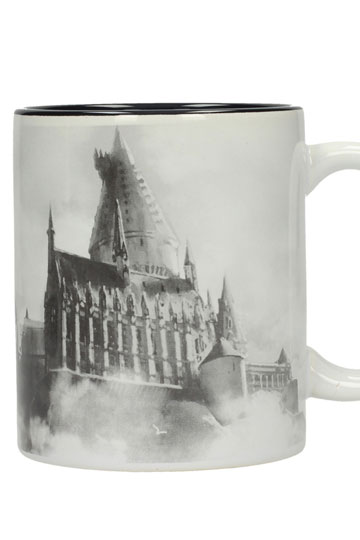Harry Potter mok Zweinstein kasteel