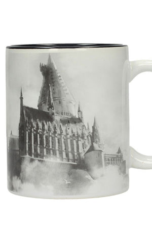 Harry Potter mok Zweinstein kasteel