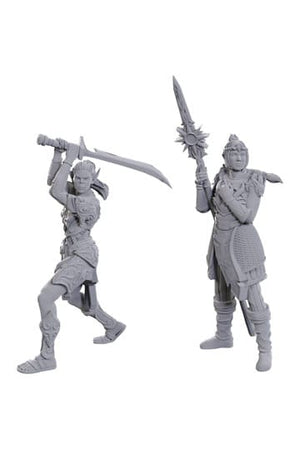 D&D Nolzur's prachtige miniaturen Ongeverfde miniatuur Lae'zel & Shadowheart