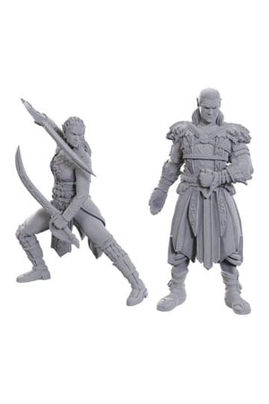 D&D Nolzur's prachtige miniaturen Ongeverfde miniatuur Jaheira & Halsin
