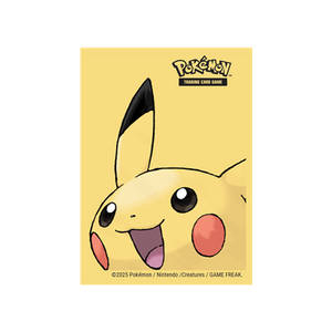 Mouwen Pokemon Pikachu (65)