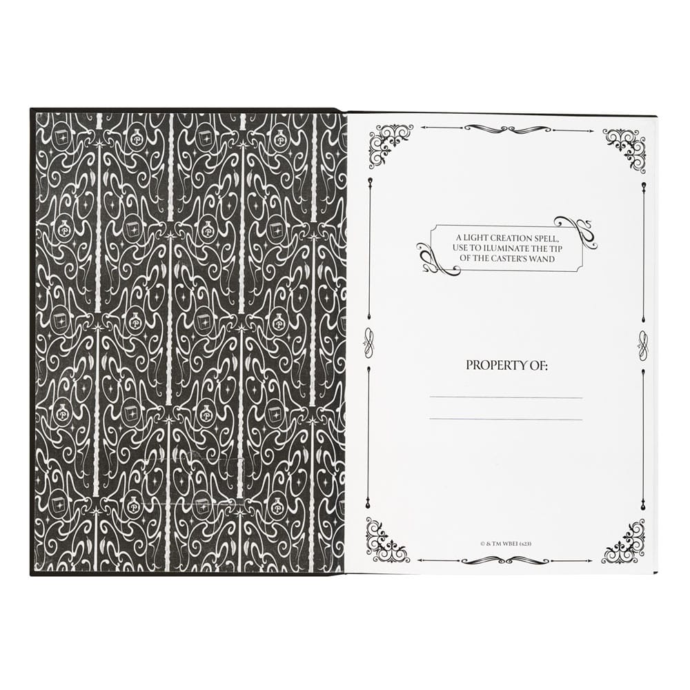 Harry Potter Premium Notitieboek A5 met Licht Lumos Maxima