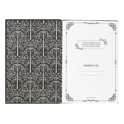 Harry Potter Premium Notitieboek A5 met Licht Lumos Maxima