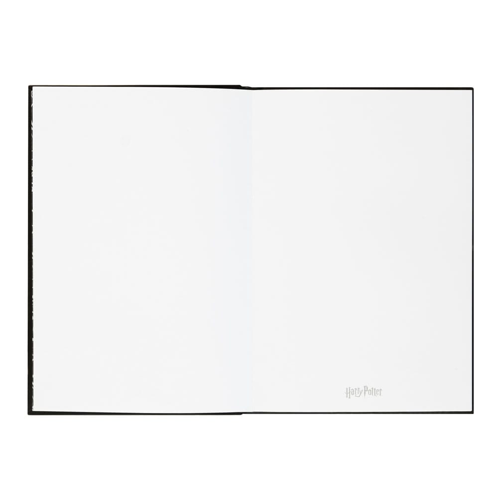 Harry Potter Premium Notitieboek A5 met Licht Lumos Maxima