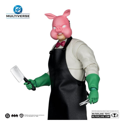 DC Multiverse McFarlane Collector Edition actiefiguur Wave 13 18 cm assortiment (6)