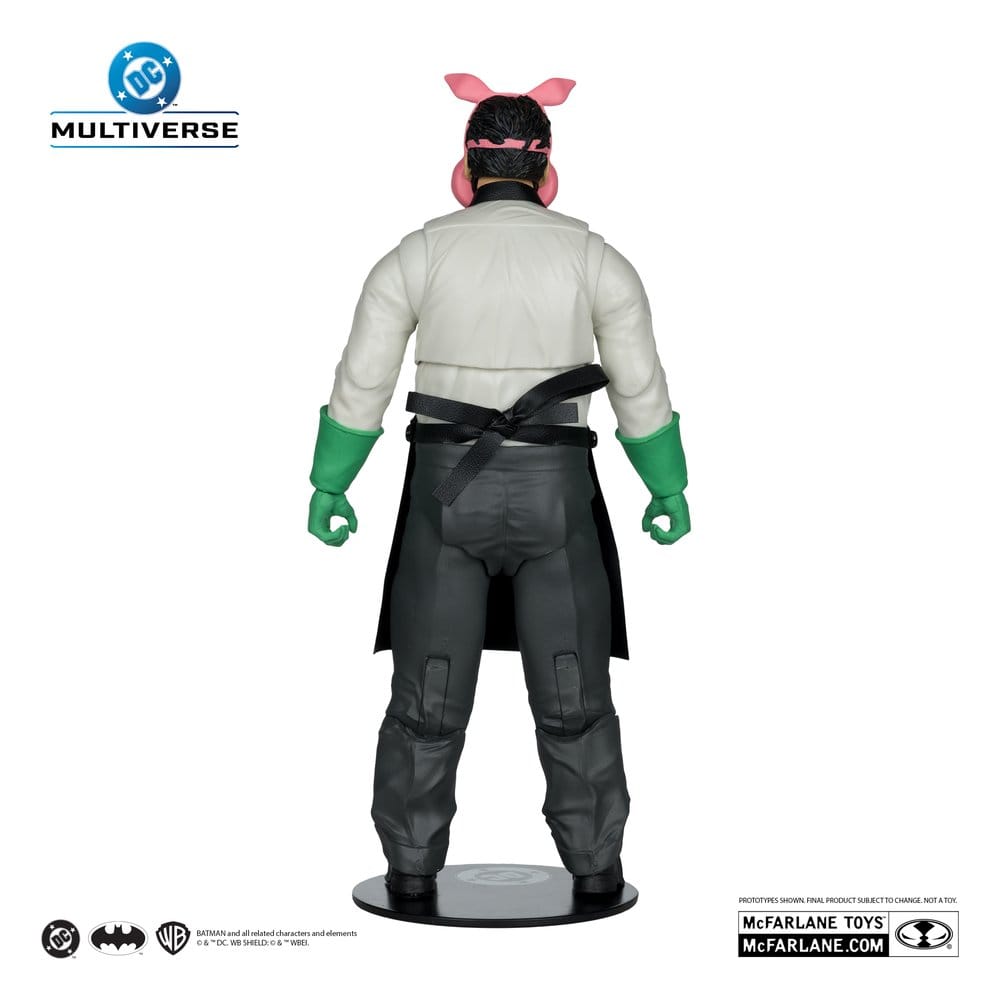DC Multiverse McFarlane Collector Edition actiefiguur Wave 13 18 cm assortiment (6)