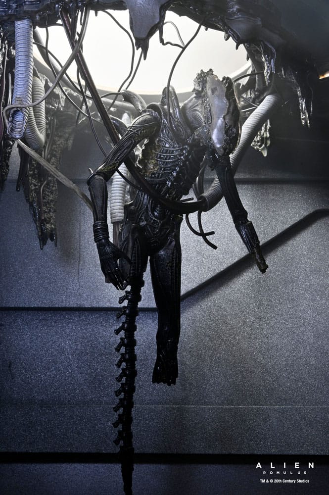 Alien: Romulus Actiefiguur Deluxe Suspended Lab Xenomorph XX121 18 cm