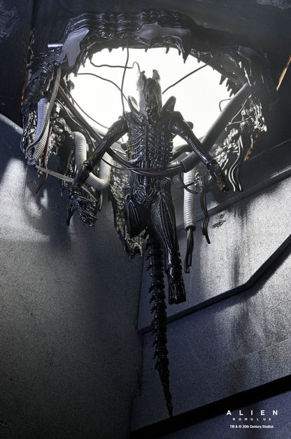 Alien: Romulus Actiefiguur Deluxe Suspended Lab Xenomorph XX121 18 cm