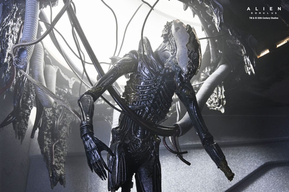 Alien: Romulus Actiefiguur Deluxe Suspended Lab Xenomorph XX121 18 cm
