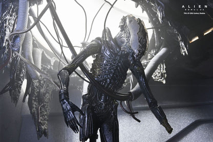 Alien: Romulus Actiefiguur Deluxe Suspended Lab Xenomorph XX121 18 cm