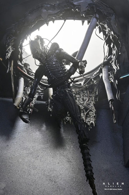 Alien: Romulus Actiefiguur Deluxe Suspended Lab Xenomorph XX121 18 cm