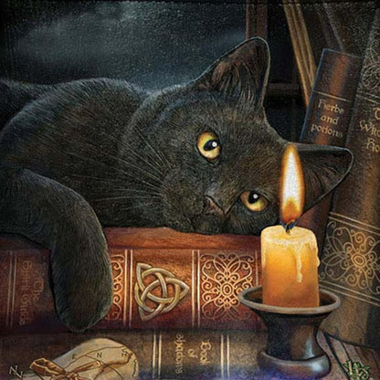 Lisa Parker Schoudertas The Witching Hour 23 cm