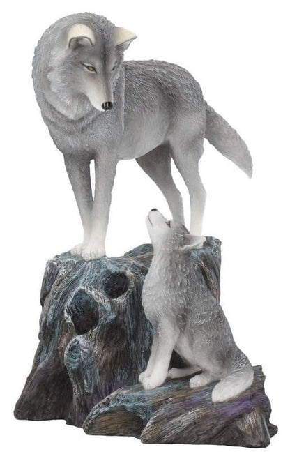 Lisa Parker Figuurgeleiding 25 cm