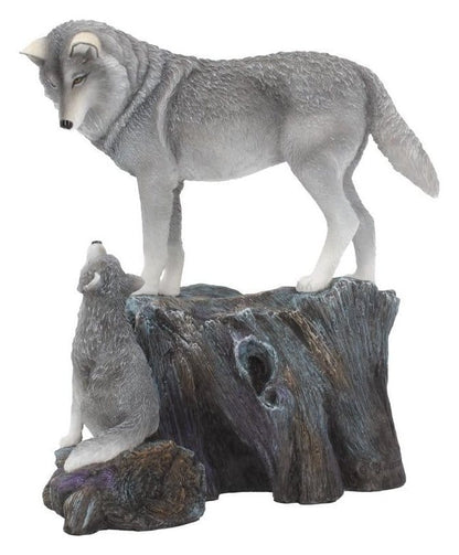 Lisa Parker Figuurgeleiding 25 cm