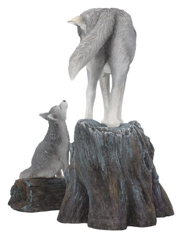 Lisa Parker Figuurgeleiding 25 cm