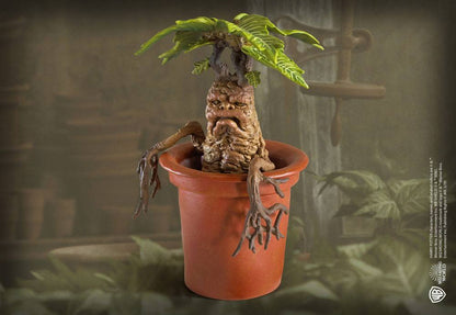 Harry Potter magische wezens standbeeld Mandrake 13 cm