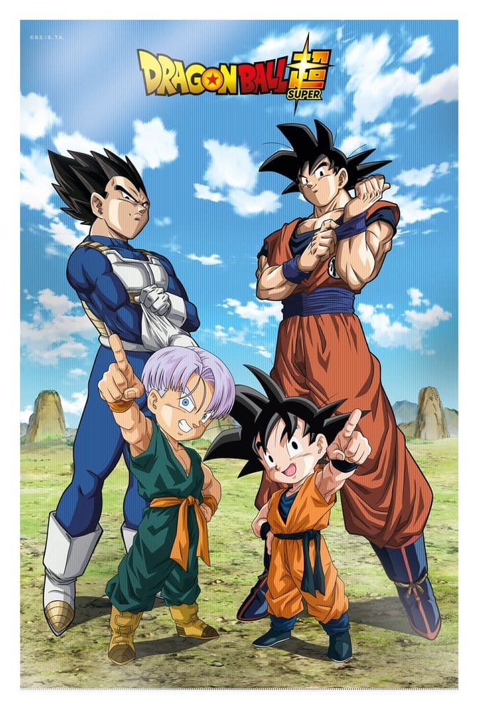 Dragon Ball Super 3D Poster Battle of Gods Goku Vegeta Familie 38 x 58 cm