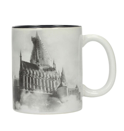 Harry Potter mok Zweinstein kasteel