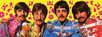 The Beatles speelkaarten groene versie