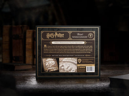 Harry Potter multidimensionale puzzel (1000 stukjes)
