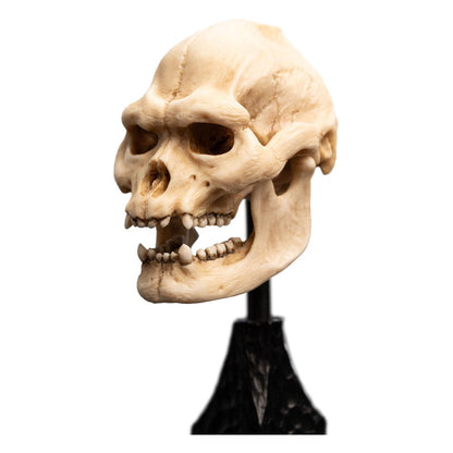 Lord of the Rings Mini Standue Skull of Lurtz 14 cm