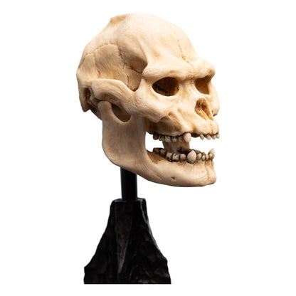 Lord of the Rings Mini Standue Skull of Lurtz 14 cm