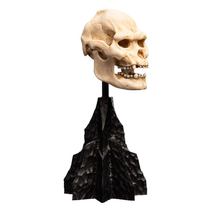Lord of the Rings Mini Standue Skull of Lurtz 14 cm