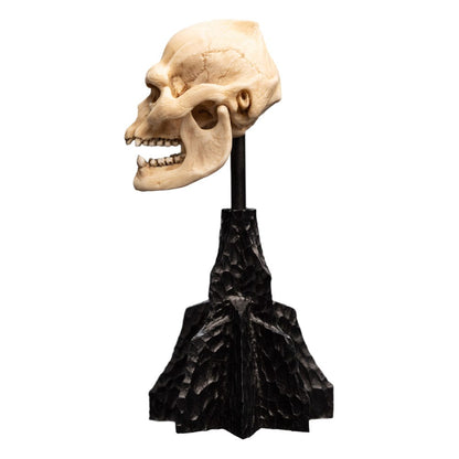 Lord of the Rings Mini Standue Skull of Lurtz 14 cm