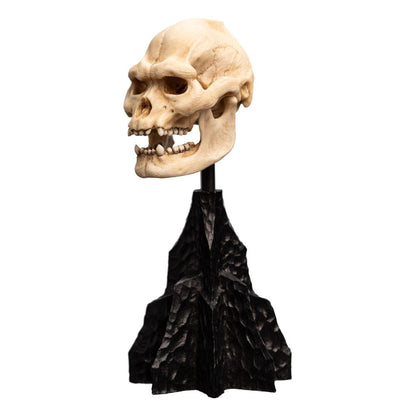 Lord of the Rings Mini Standue Skull of Lurtz 14 cm