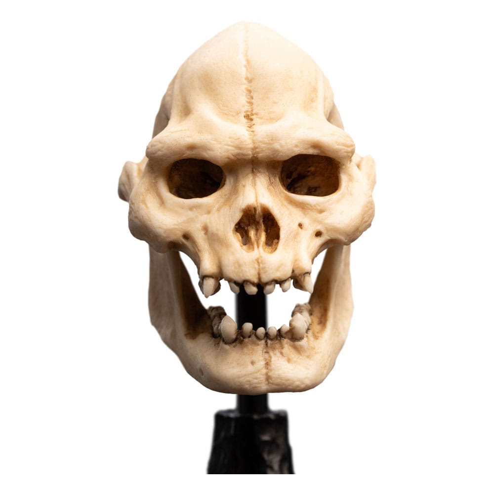 Lord of the Rings Mini Standue Skull of Lurtz 14 cm