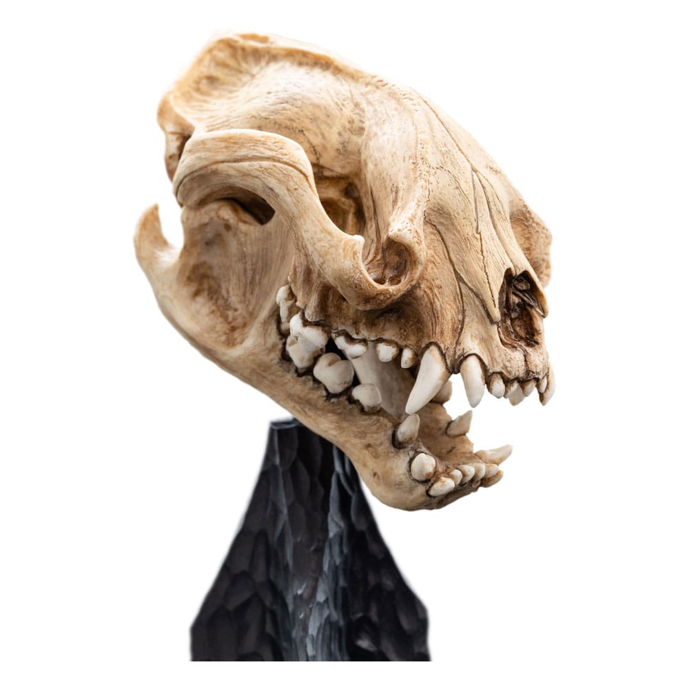 Lord of the Rings Mini Standue Skull of a Warg 20 cm