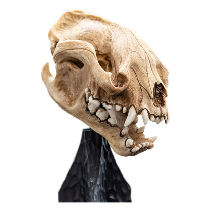 Lord of the Rings Mini Standue Skull of a Warg 20 cm