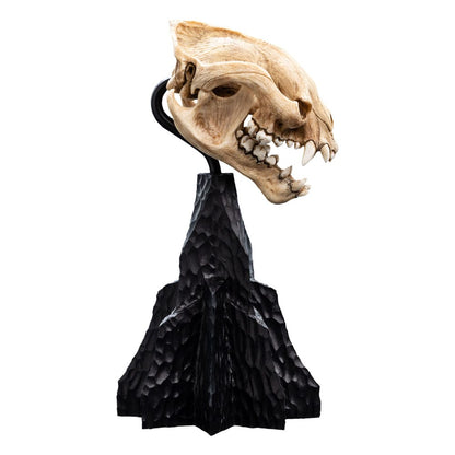 Lord of the Rings Mini Standue Skull of a Warg 20 cm