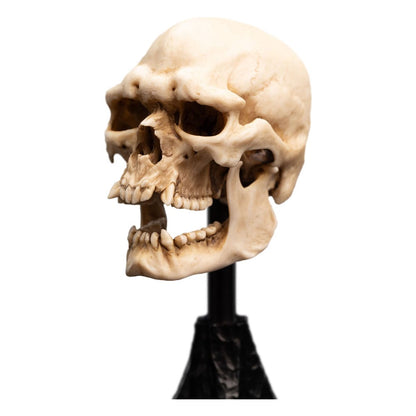Lord of the Rings Mini Standue Skull van een Mordor Orc 14 cm
