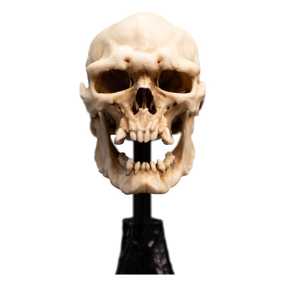 Lord of the Rings Mini Standue Skull van een Mordor Orc 14 cm