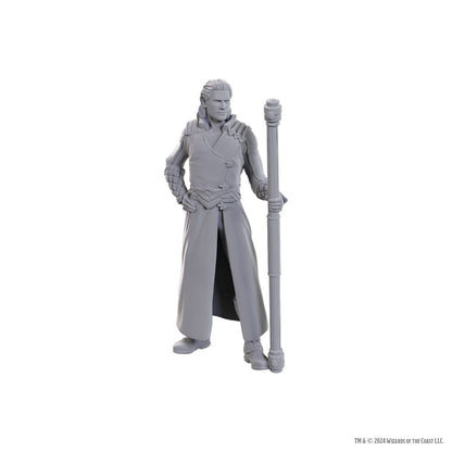 D&D Nolzur's prachtige miniaturen ongeverfd miniatuur Gale & Astarion