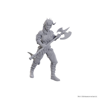 D&D Nolzur's prachtige miniaturen ongeverfd miniatuur Wyll & Karlach