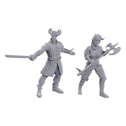 D&D Nolzur's prachtige miniaturen ongeverfd miniatuur Wyll & Karlach