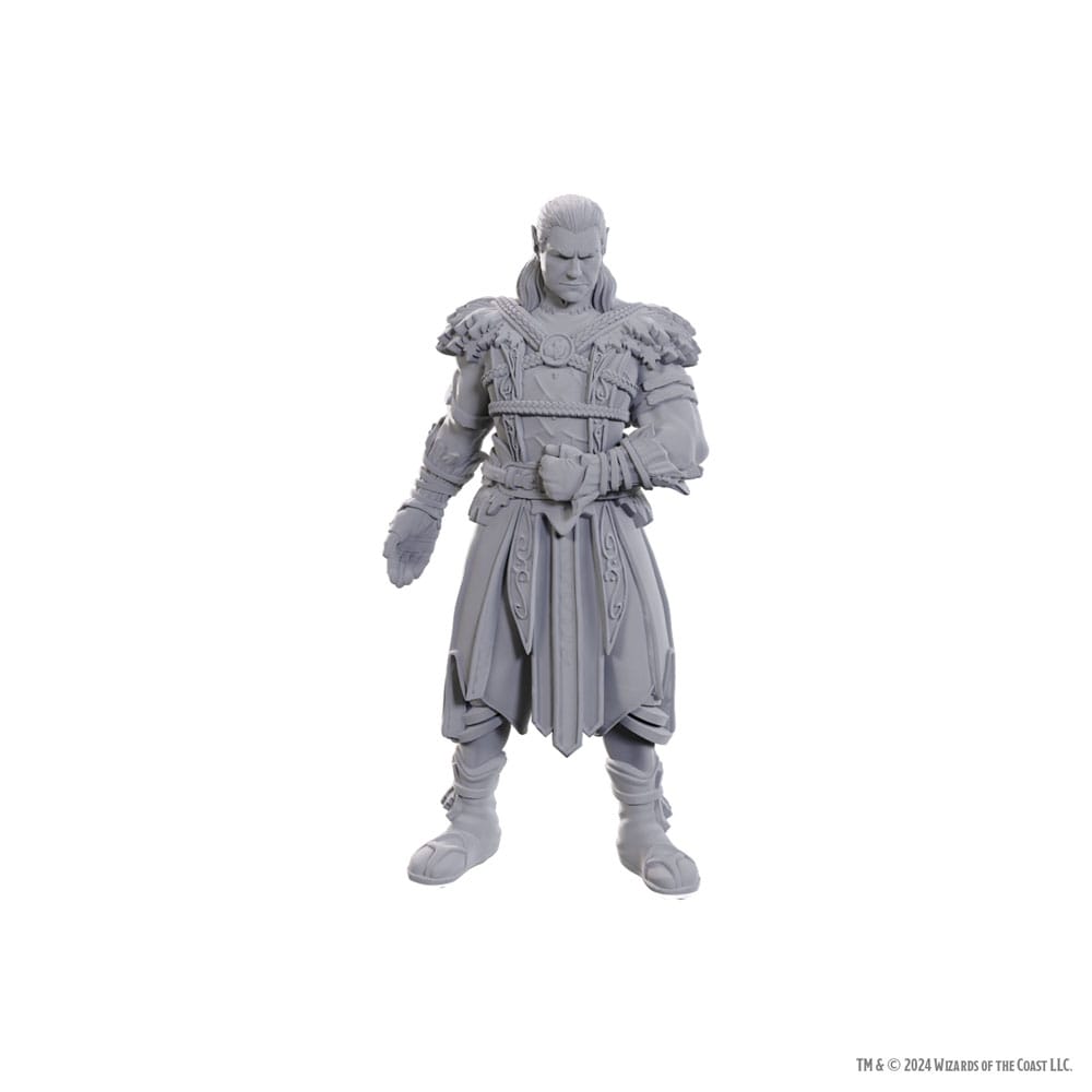 D&D Nolzur's prachtige miniaturen Ongeverfde miniatuur Jaheira & Halsin