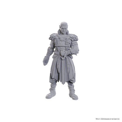 D&D Nolzur's prachtige miniaturen Ongeverfde miniatuur Jaheira & Halsin