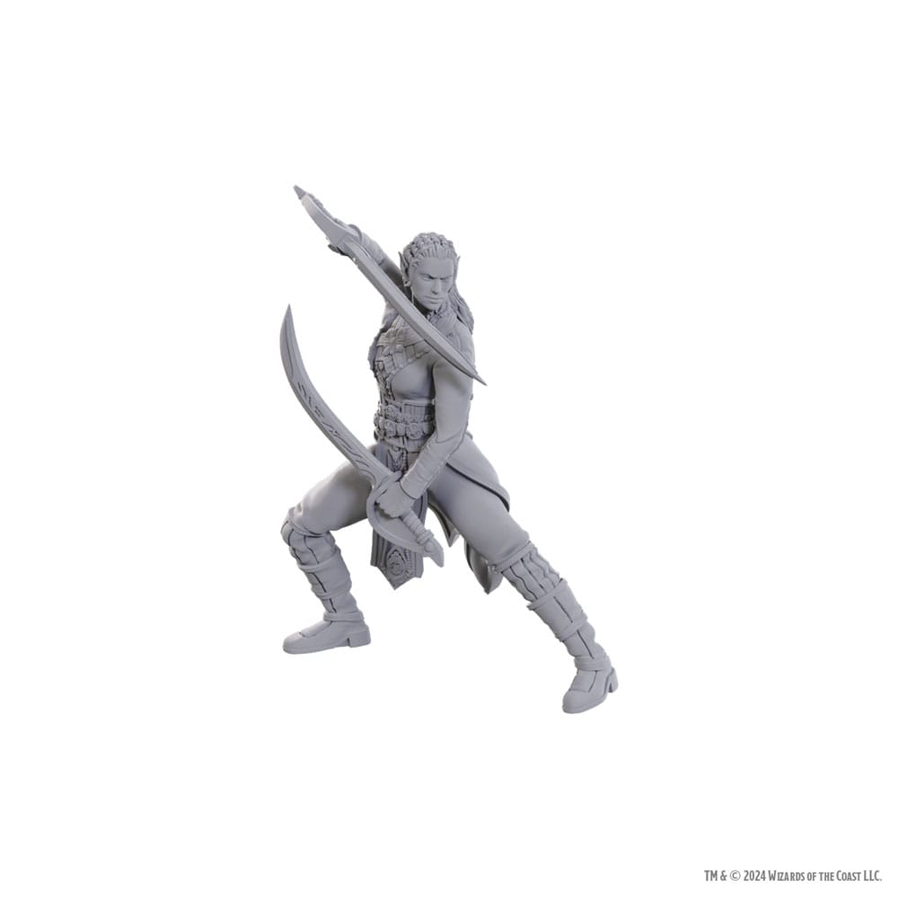 D&D Nolzur's prachtige miniaturen Ongeverfde miniatuur Jaheira & Halsin