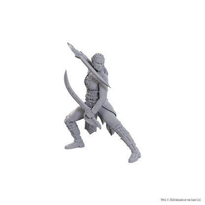 D&D Nolzur's prachtige miniaturen Ongeverfde miniatuur Jaheira & Halsin