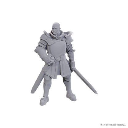 D&D Nolzur's prachtige miniaturen ongeverfd miniatuur Ulder Ravengard & Zevlor