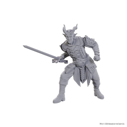 D&D Nolzur's prachtige miniaturen ongeverfd miniatuur Ulder Ravengard & Zevlor